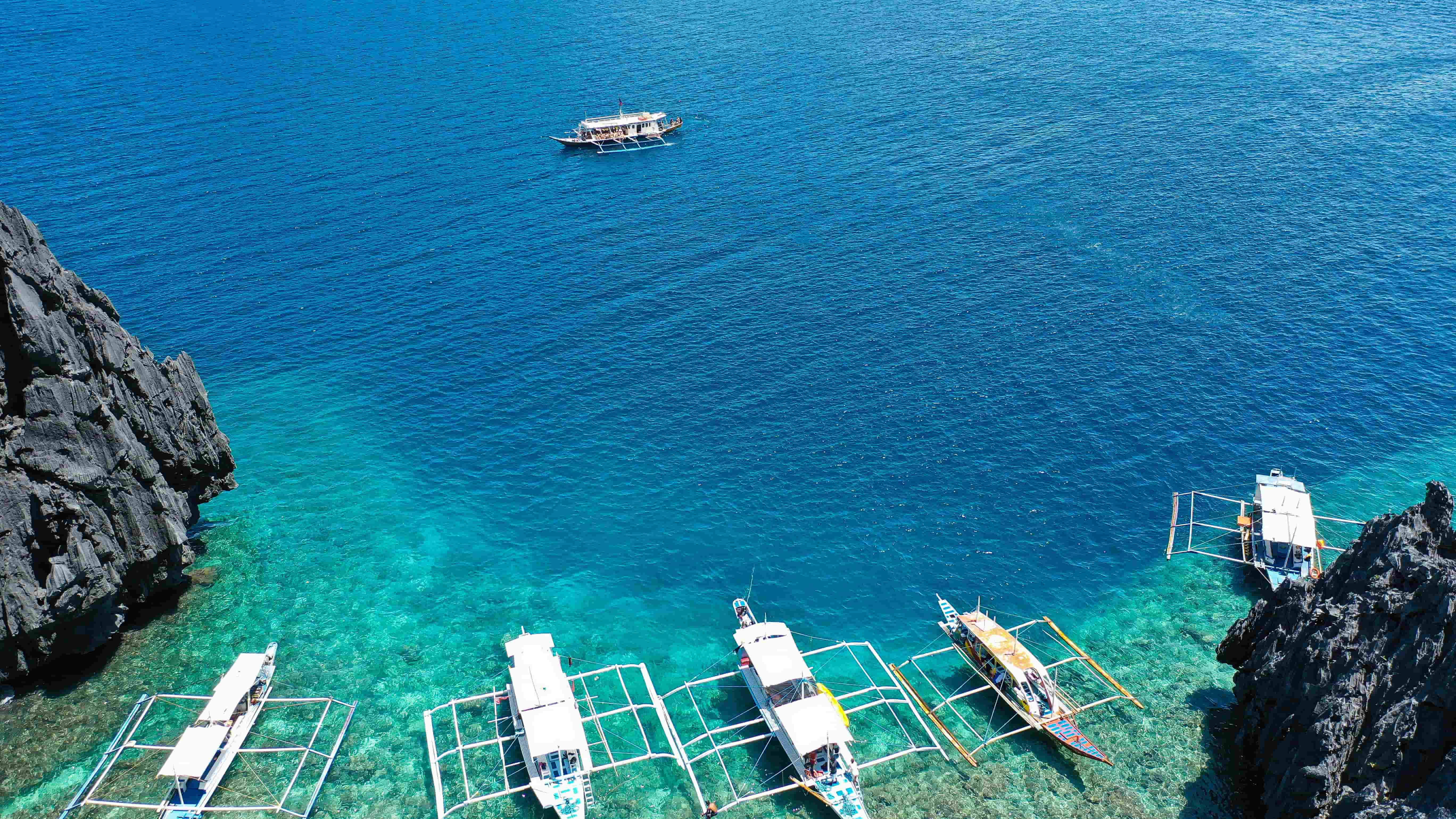 Local and international tours, priced as one